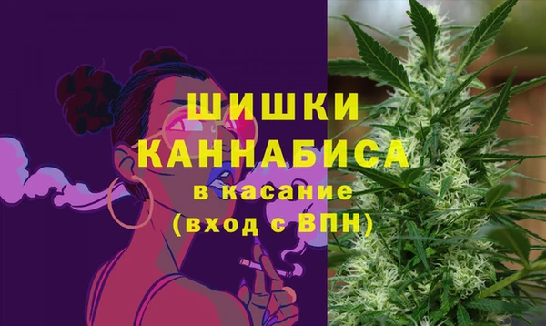 крисы Бронницы