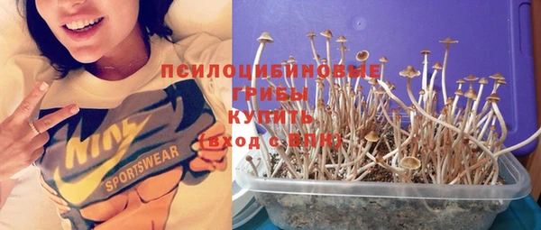 кристаллы Бородино